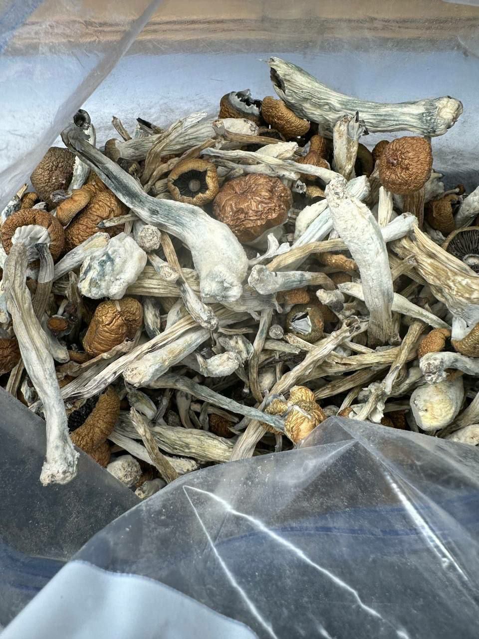 Blue Meanie Side View