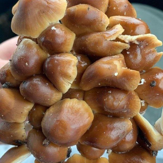 Treasure Coast - Main Image